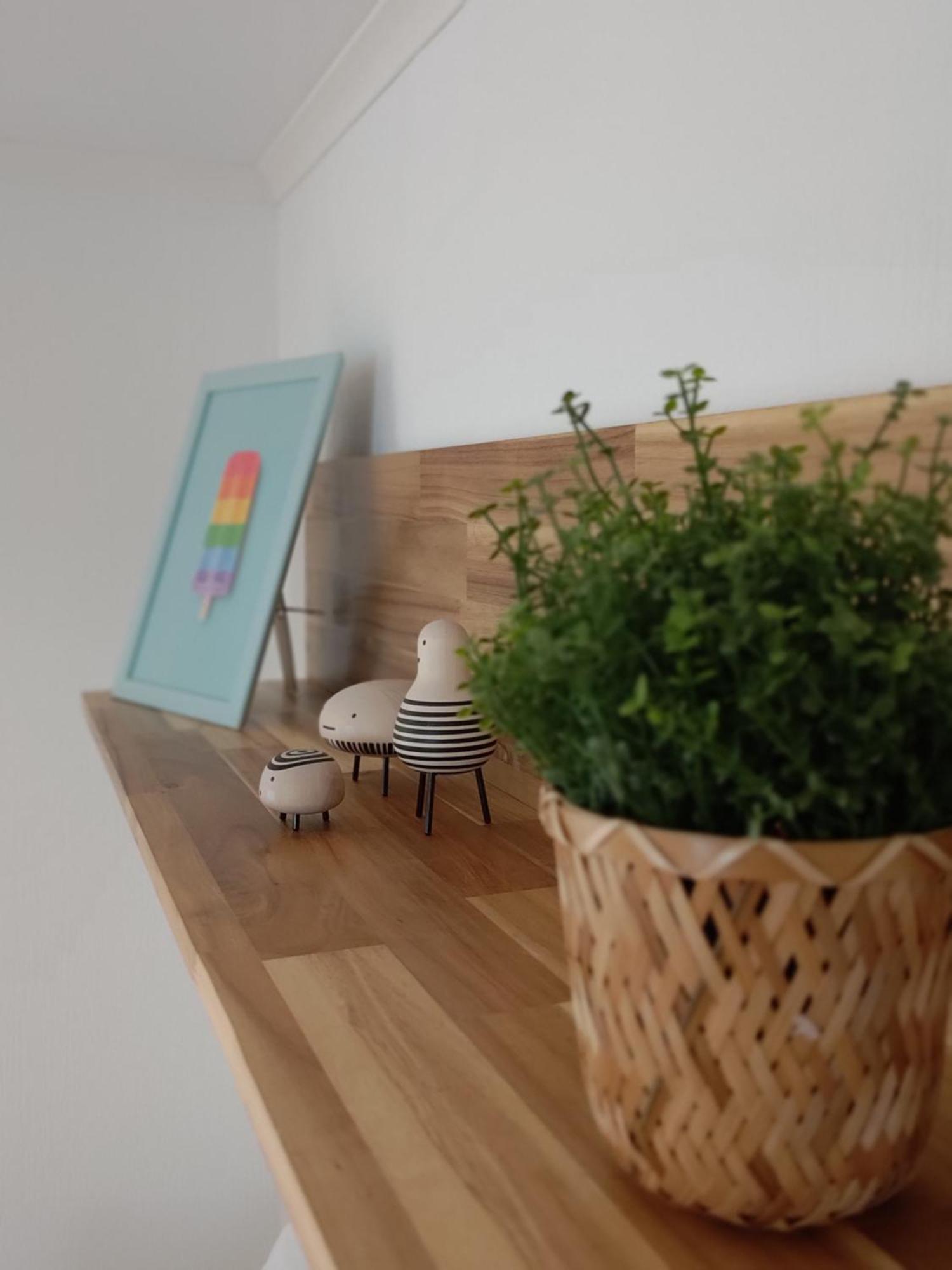 Appartementen Dorp & Duin เอ็กมอนด์อานเซ ภายนอก รูปภาพ